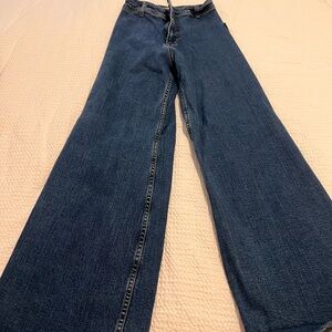 Zara Blue Flare Wide-Leg Jeans